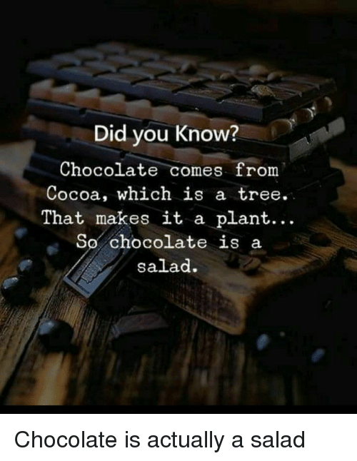 did you know chocolate comes from cocoa which is a 36236409