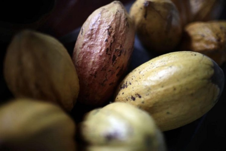 The Universe Of Cocoa Production In Costa Rica