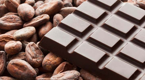 colombia cocoa s peaceful transition to global prominence