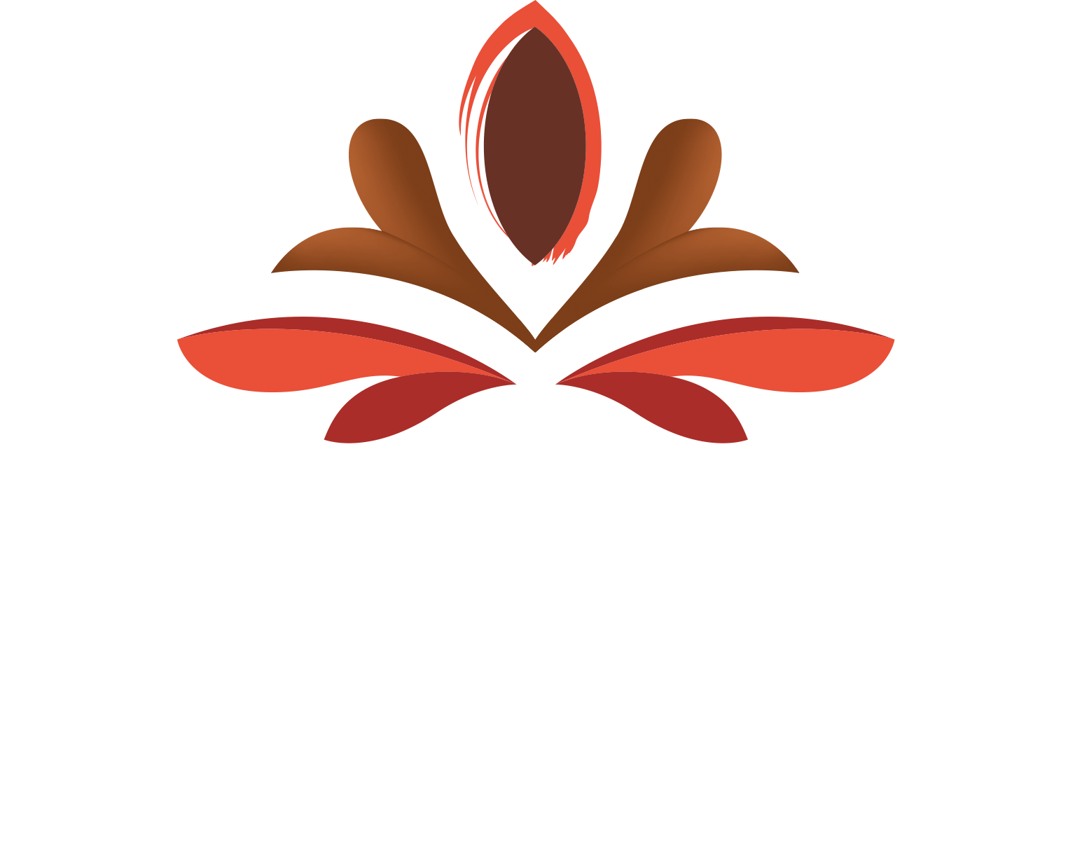 valrhona typo blanche 1
