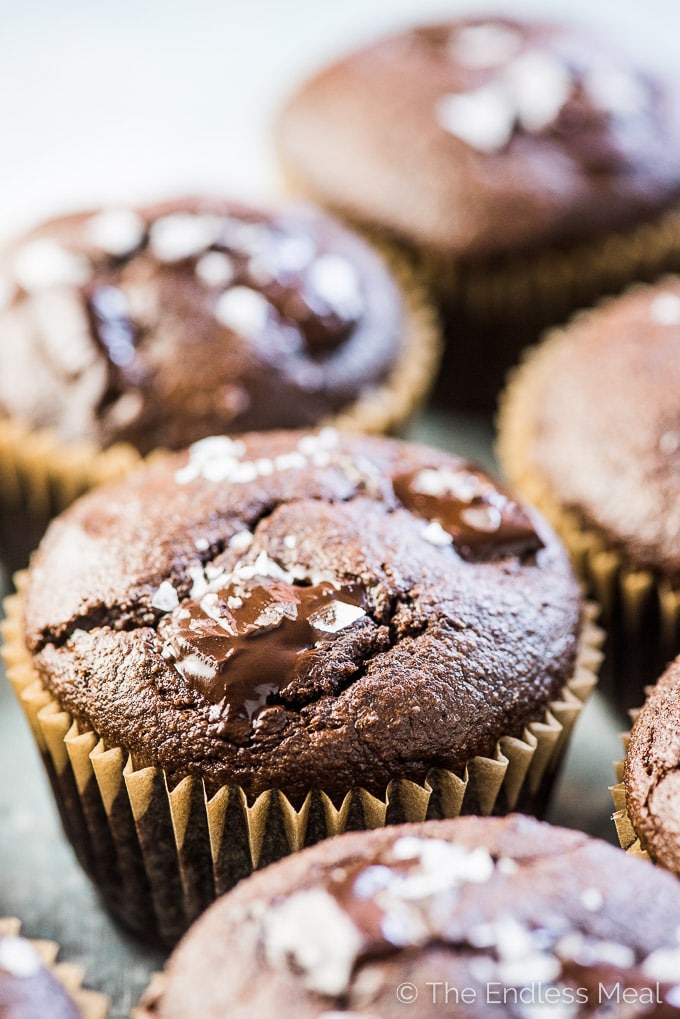 chocolate almond flour protein muffins 5