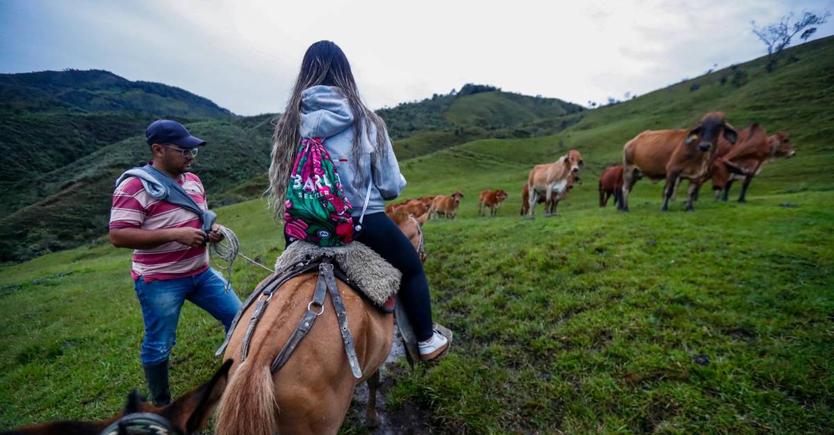 mfincas en concepcion morro reyes 1 15 40091241 20220604171342