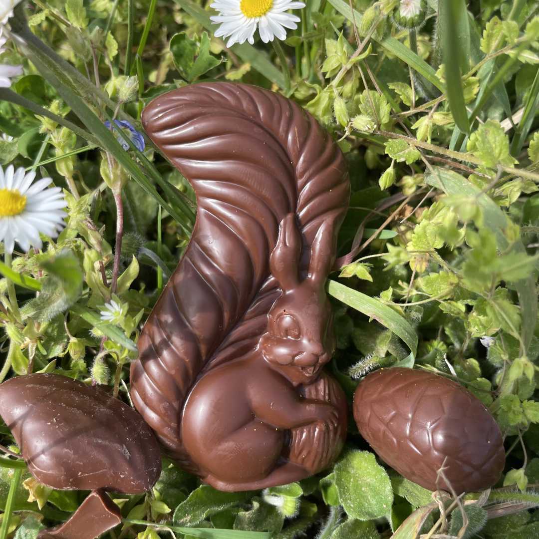 chocolat artisanal a offrir ecureuil fillesbeauregard