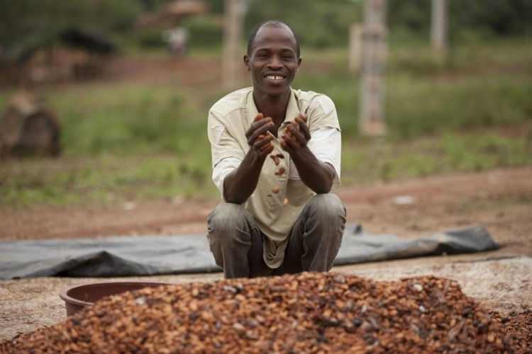 Cote d’Ivoire cocoa continues to struggle with deforestation and child labour issues linked to farmer poverty