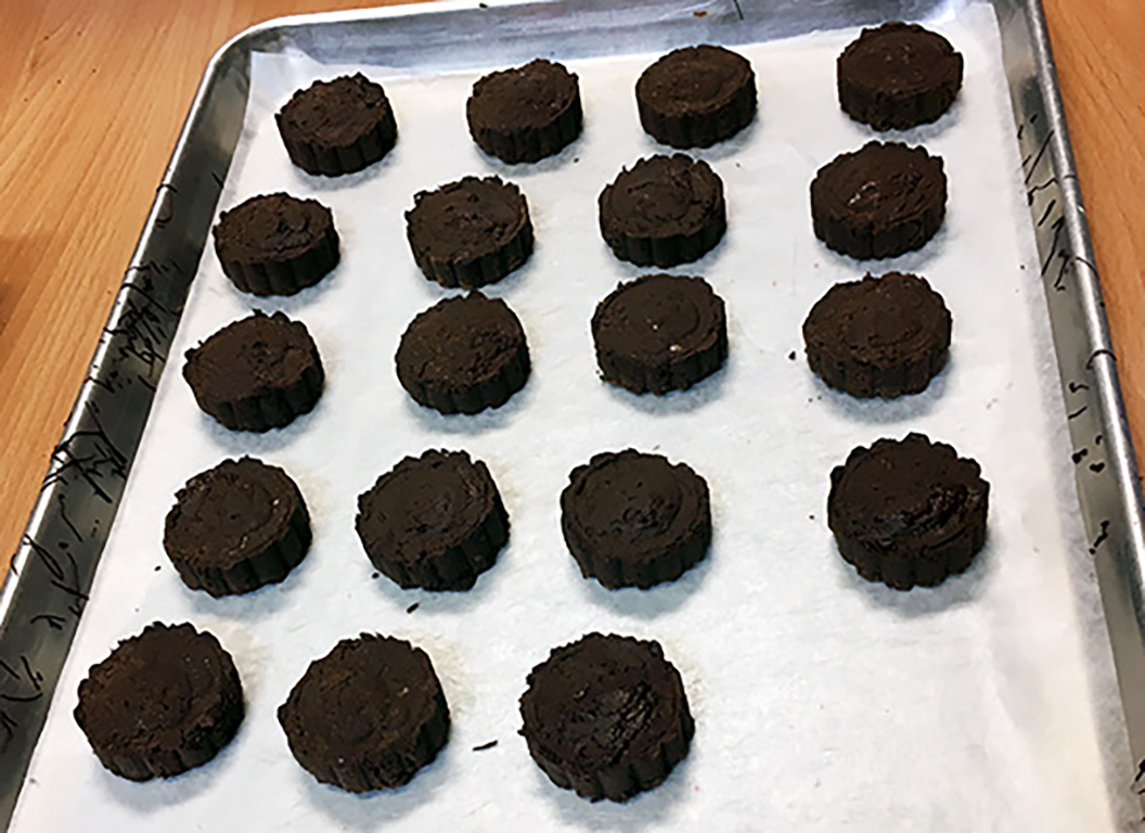 Chocolate-covered cricket chitin, a ‘good stomach bug,’ at heart of CSU study on people with IBS