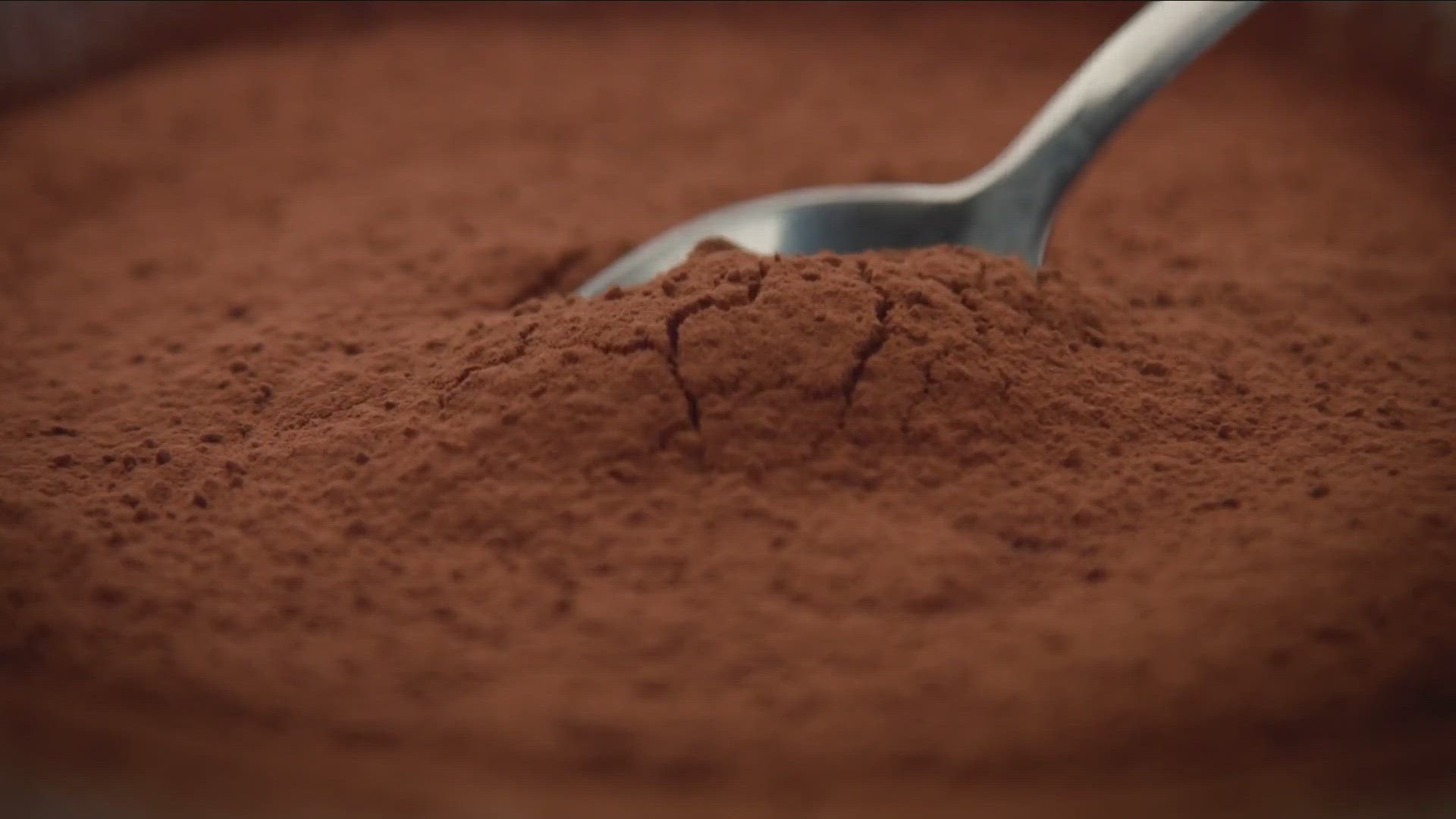 Buffalo chocolate shop will close at the end of year